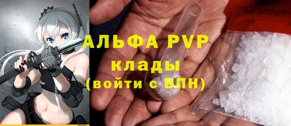 амф Аркадак