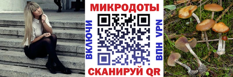 Псилоцибиновые грибы MAGIC MUSHROOMS  купить   Суворов 